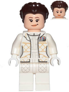 Minifig sw0958