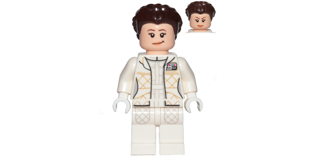 Minifig sw0958