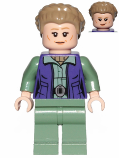 Minifig sw1011