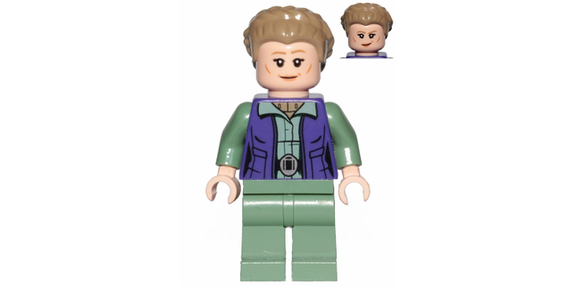 Minifig sw1011
