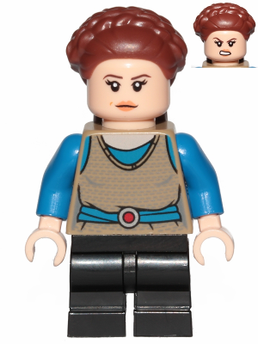 Minifig sw1023