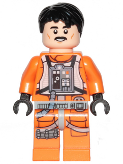 Minifig sw1038