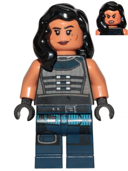 Minifig sw1058
