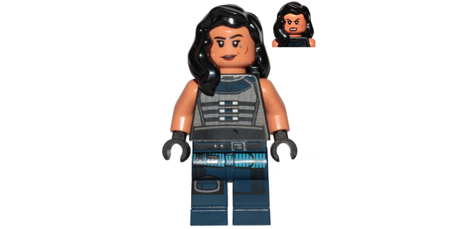 Minifig sw1058