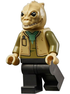 Minifig sw1130