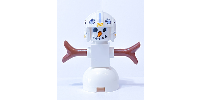 Minifig sw1134