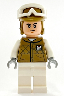 Minifig sw1187
