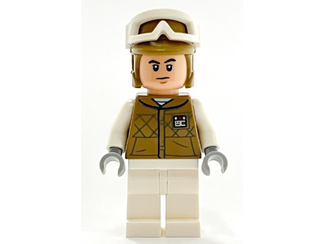 Minifig sw1187