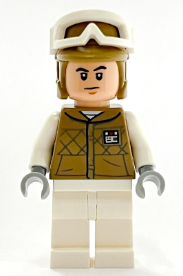 Minifig sw1187