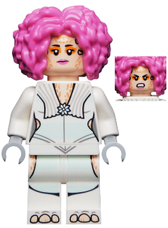 Minifig sw1194
