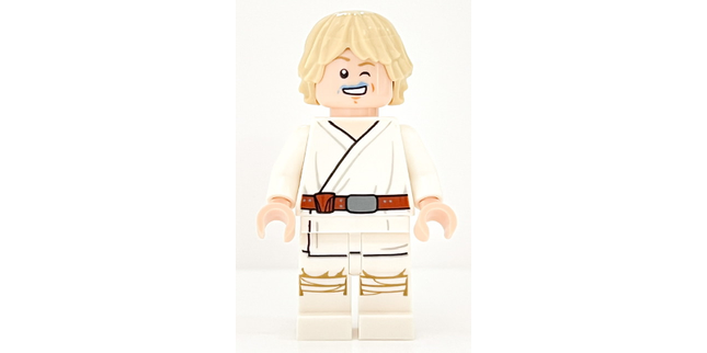 Minifig sw1198