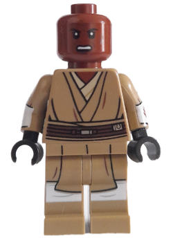 Minifig sw1205