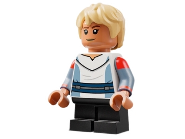 Minifig sw1214