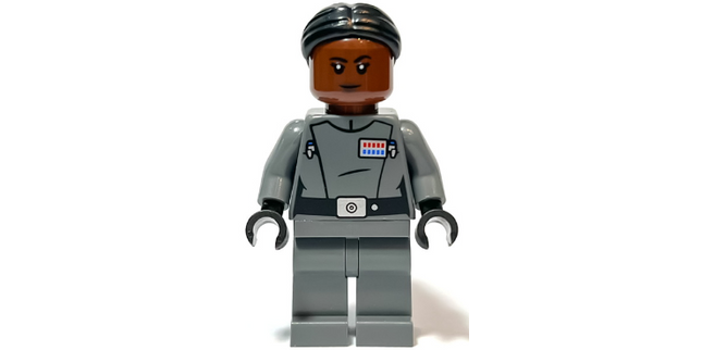 Minifig sw1250