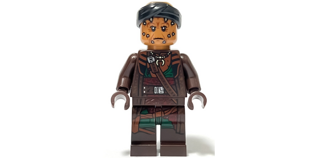 Minifig sw1257