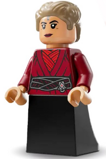 Minifig sw1290