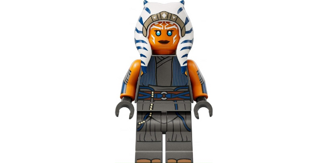 Minifig sw1300