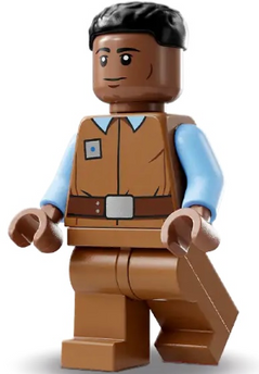 Minifig sw1310