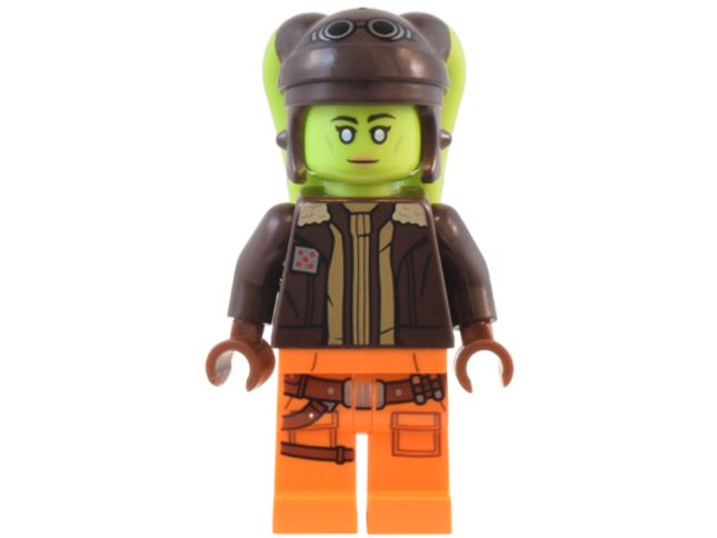 Minifig sw1311