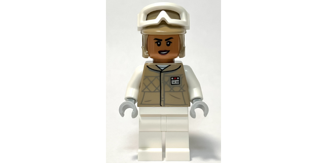 Minifig sw1313