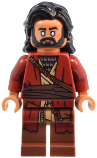 Minifig sw1355