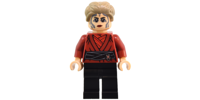 Minifig sw1357
