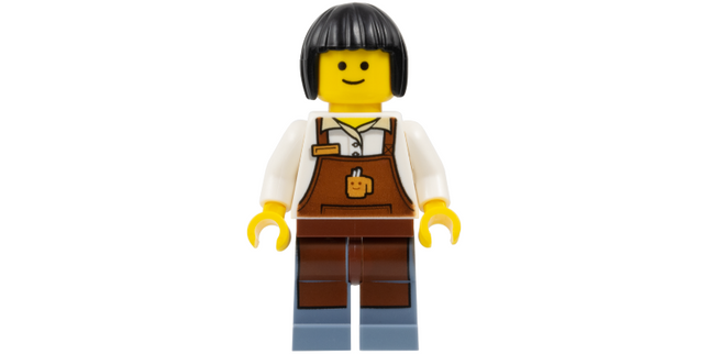 Minifig twn270a