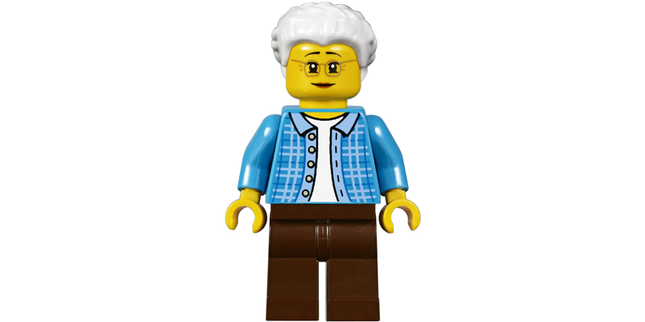 Minifig twn294